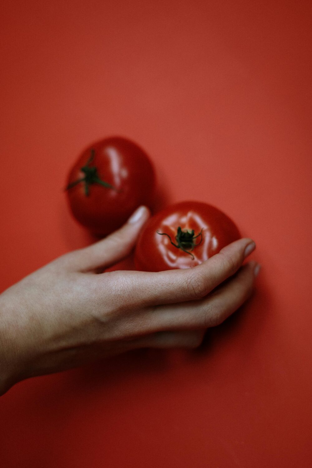 A hand holding a tomato, another tomato on red background.